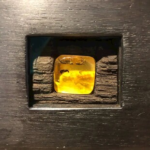 琥珀