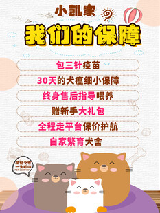 小猫保障计划安心养宠