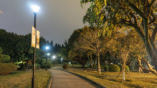 夜晚公园小路的静谧景象