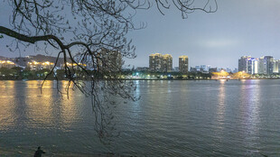 湖畔城市夜景 静谧美好