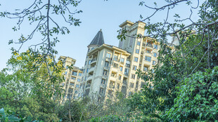 绿树环绕的欧式风格建筑群