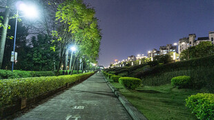 夜晚林荫小道的静谧景致