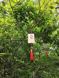 林间悬挂的祈福风铃