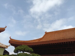 古建筑屋顶景致