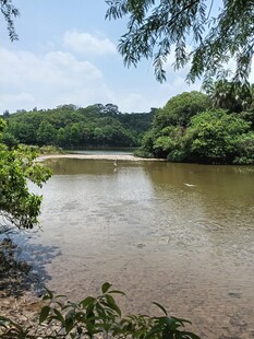 宁静河畔自然风光