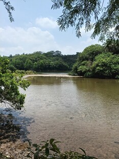 宁静河畔自然风光