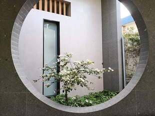 中式圆门内的绿植景致