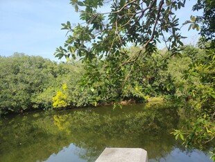 宁静河畔的自然景致