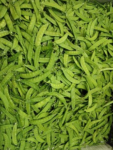 荷兰豆