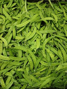 荷兰豆 