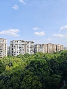 绿树环绕的现代高层住宅
