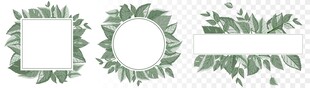 绿植边框