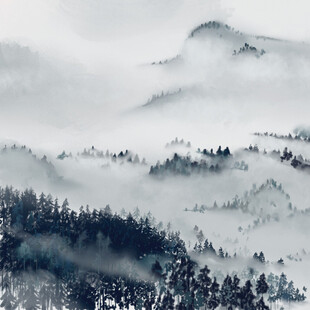 水墨山水间的云雾森林