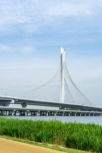 现代斜拉桥横跨绿野蓝天