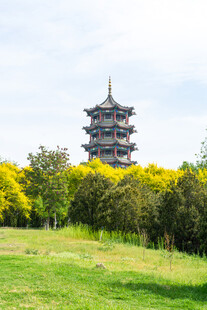 古塔映于葱郁草木间