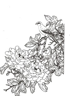 花鸟白描图 雅致花卉禽鸟