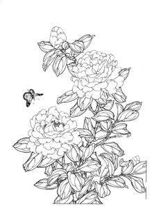 花卉蝴蝶黑白线稿图