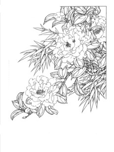花卉线描图案