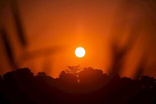 夕阳下的剪影美景