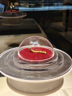 安康博物馆文物