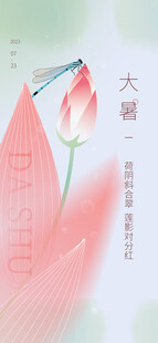 大暑海报 