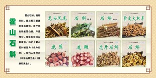 嵩山特产展示