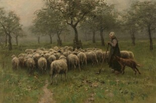 牧人于林间草地牧羊场景
