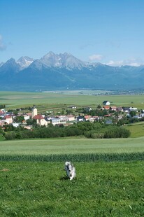 草原村落与远处山峦美景