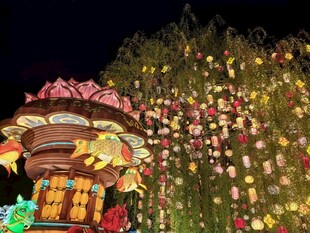 璀璨花灯点亮迷人夜景