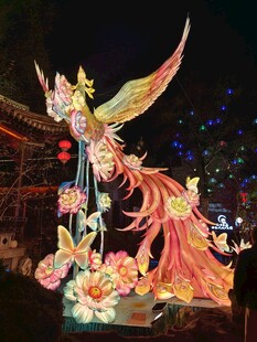 华丽凤凰彩灯造型精美