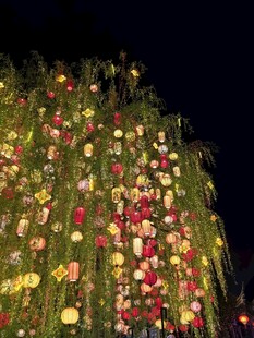 夜间绚烂花卉景观