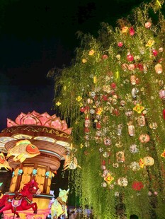 夜赏绚丽花灯场景