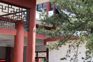 中式建筑一角 绿植相伴