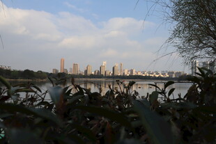 湖畔城市风光远景