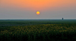 夕阳下的广袤田野