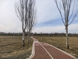 郊外空旷的红色步道风景