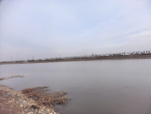 宁静河岸风景