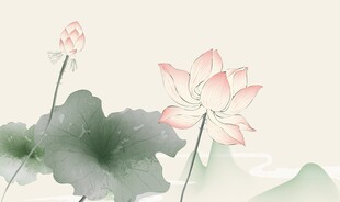 国风荷花背景