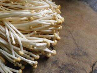 新鲜金针菇