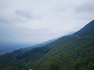 山间云雾缭绕的翠绿景致