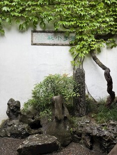 中式庭院绿植景致