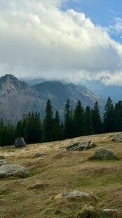 山间草地与远处山林美景