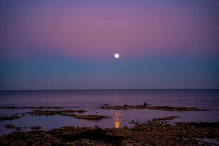 月下静谧海滨夜景