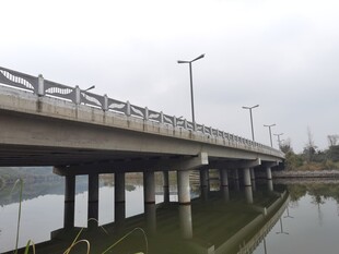 河畔长桥横跨水面