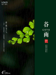 谷雨海报
