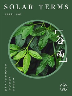 谷雨海报 