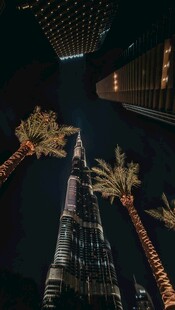 夜幕下的摩天大楼与棕榈树