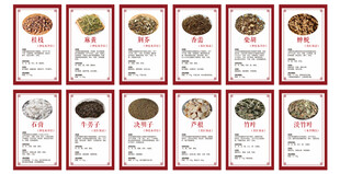 草药海报 素材 画框