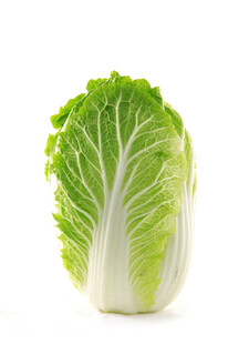 新鲜大白菜