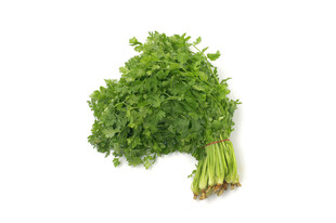 香菜